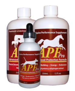 Adaptogen supplement APF Pro for equine, canine and livestock