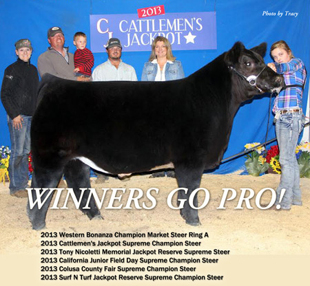 traynham steer award winner