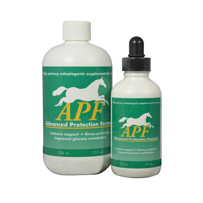 Buy Adaptogenic Advanced Protection Formula for Horses