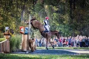 tamie smith jumping horse